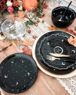Midnight Dinnerware Set Of 2 Porcelain Plates -Rogue & Wolf Shop 20201022 160107