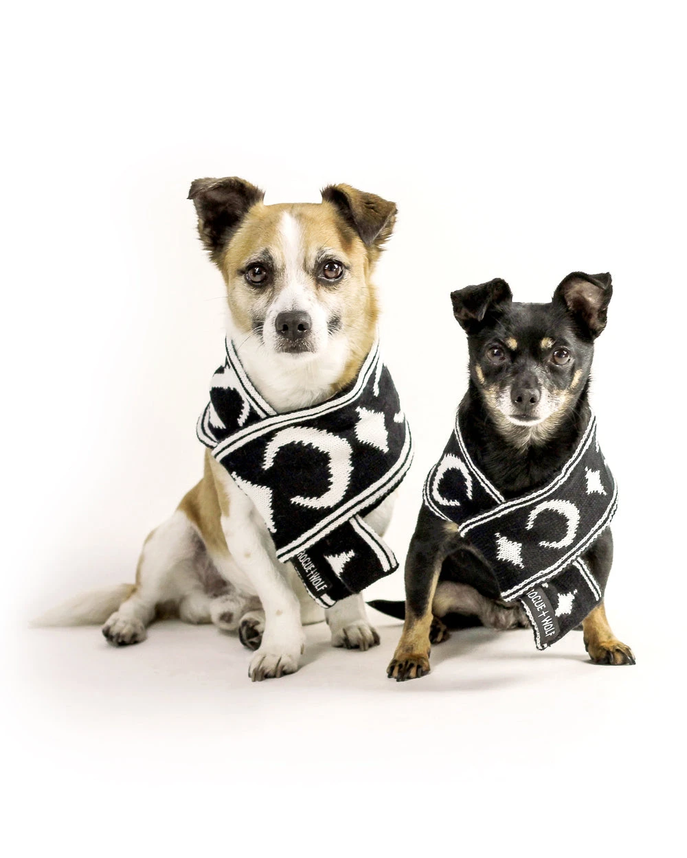 Moon Pupper Scarf - Dog Or Cat 21 Moon Pupper Scarf - Dog Or Cat - Image 19