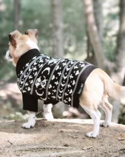 Sworn Enemy Knitted Pet Sweater - Dog Or Cat -Rogue & Wolf Shop 2020 06 25 6254