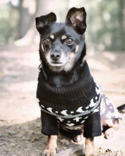 Sworn Enemy Knitted Pet Sweater - Dog Or Cat -Rogue & Wolf Shop 2020 06 25 6292