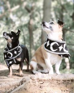 Moon Pupper Scarf - Dog Or Cat 37 Moon Pupper Scarf - Dog Or Cat -Rogue & Wolf Shop 2020 06 25 6308