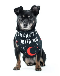 You Can't Dig With Us Pet Bandana - Dog Or Cat -Rogue & Wolf Shop 2021 02 13 9252