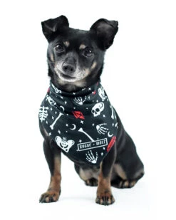 You Can't Dig With Us Pet Bandana - Dog Or Cat -Rogue & Wolf Shop 2021 02 13 9320