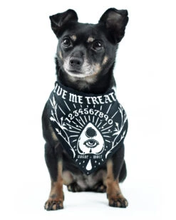 Give Me Treatos Ouija Pet Bandana - Dog Or Cat -Rogue & Wolf Shop 2021 02 13 9370