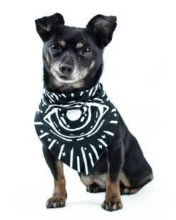 Give Me Treatos Ouija Pet Bandana - Dog Or Cat -Rogue & Wolf Shop 2021 02 13 9461