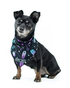 I Pawed A Spell On You Pet Bandana - Dog Or Cat -Rogue & Wolf Shop 2021 02 13 9605