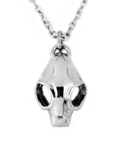 Cat Skull Necklace In Mirror Steel -Rogue & Wolf Shop 2021 10 13 9999 103 1