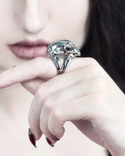 Cat Skull Ring In Mirror Steel -Rogue & Wolf Shop 2021 10 13 9999 1919 1