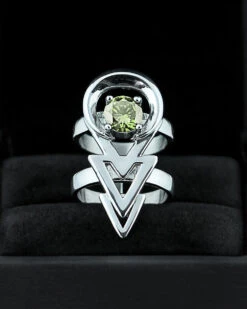 Rune Ring In Mirror Steel -Rogue & Wolf Shop 2021 10 16 9999 625