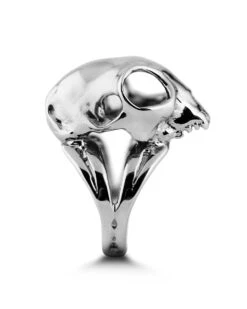 Cat Skull Ring In Mirror Steel -Rogue & Wolf Shop 836 vitalyedit 01