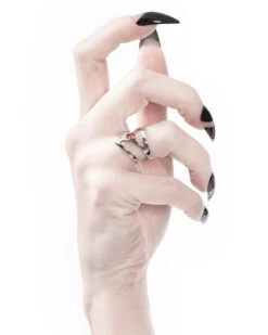 Affection Ring In Mirror Steel -Rogue & Wolf Shop A7304670acopy