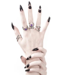 Affection Ring In Mirror Steel -Rogue & Wolf Shop A7304770acopy