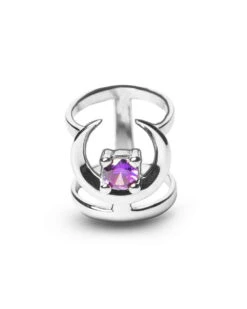 Occult Ring In Mirror Steel -Rogue & Wolf Shop A7304926acopy2