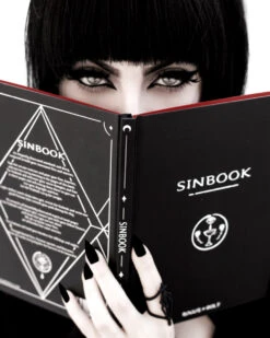 Sinbook