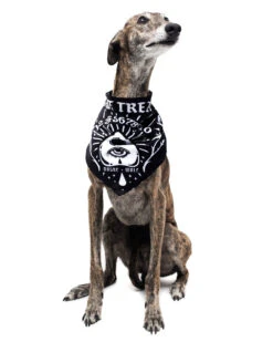 Give Me Treatos Ouija Pet Bandana - Dog Or Cat -Rogue & Wolf Shop CopyofBBM 8728