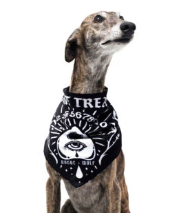 Give Me Treatos Ouija Pet Bandana - Dog Or Cat -Rogue & Wolf Shop CopyofBBM 8728a