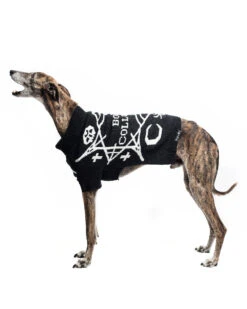 Bone Collector Knitted Pet Sweater - Dog Or Cat -Rogue & Wolf Shop CopyofBBM 8864