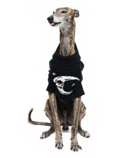 Bone Collector Knitted Pet Sweater - Dog Or Cat -Rogue & Wolf Shop CopyofBBM 8881