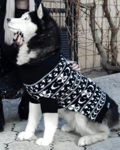 Sworn Enemy Knitted Pet Sweater - Dog Or Cat -Rogue & Wolf Shop DSC 0032a 1