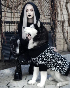 Sworn Enemy Knitted Pet Sweater - Dog Or Cat -Rogue & Wolf Shop DSC 0032a 3