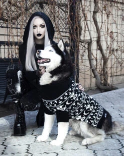 Sworn Enemy Knitted Pet Sweater - Dog Or Cat -Rogue & Wolf Shop DSC 0035a