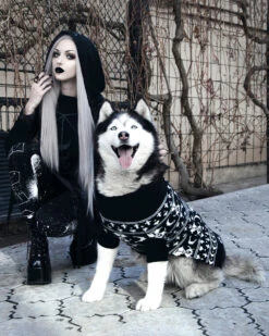 Sworn Enemy Knitted Pet Sweater - Dog Or Cat -Rogue & Wolf Shop DSC 0039a