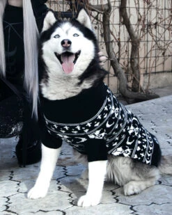 Sworn Enemy Knitted Pet Sweater - Dog Or Cat