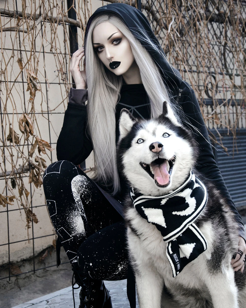 Moon Pupper Scarf - Dog Or Cat 5 Moon Pupper Scarf - Dog Or Cat - Image 3