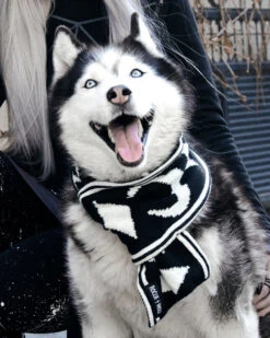 Moon Pupper Scarf - Dog Or Cat 29 Moon Pupper Scarf - Dog Or Cat -Rogue & Wolf Shop DSC 0206a 1