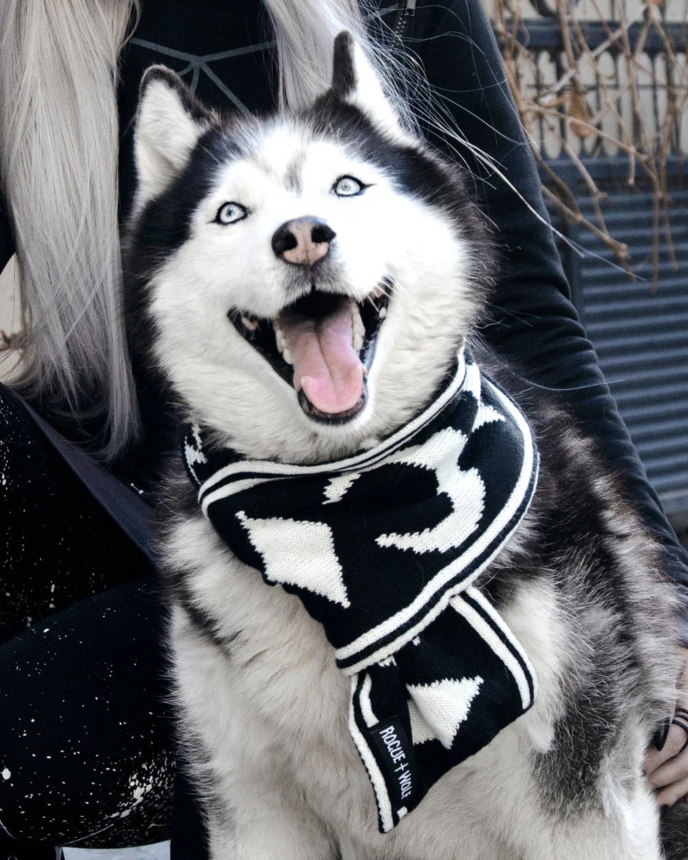 Moon Pupper Scarf - Dog Or Cat 10 Moon Pupper Scarf - Dog Or Cat - Image 8