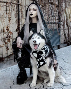 Moon Pupper Scarf - Dog Or Cat 30 Moon Pupper Scarf - Dog Or Cat -Rogue & Wolf Shop DSC 0210a