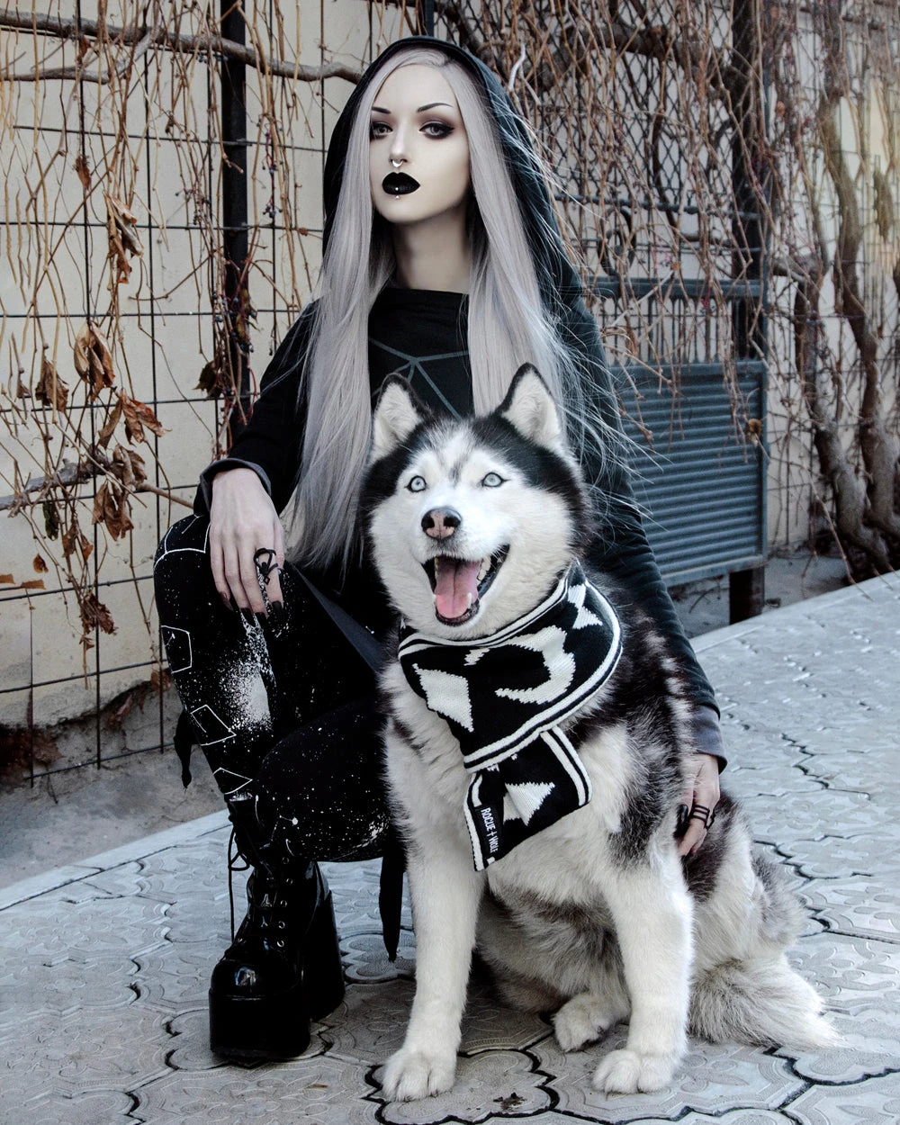 Moon Pupper Scarf - Dog Or Cat 11 Moon Pupper Scarf - Dog Or Cat - Image 9