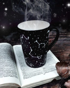 Voyager Mug -Rogue & Wolf Shop IMG 5549 Magic