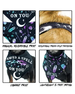 I Pawed A Spell On You Pet Bandana - Dog Or Cat -Rogue & Wolf Shop PetFashion2021 CombosText 4by5 03