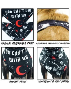 You Can't Dig With Us Pet Bandana - Dog Or Cat -Rogue & Wolf Shop PetFashion2021 CombosText 4by5 09