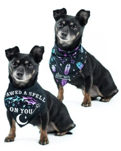 I Pawed A Spell On You Pet Bandana - Dog Or Cat