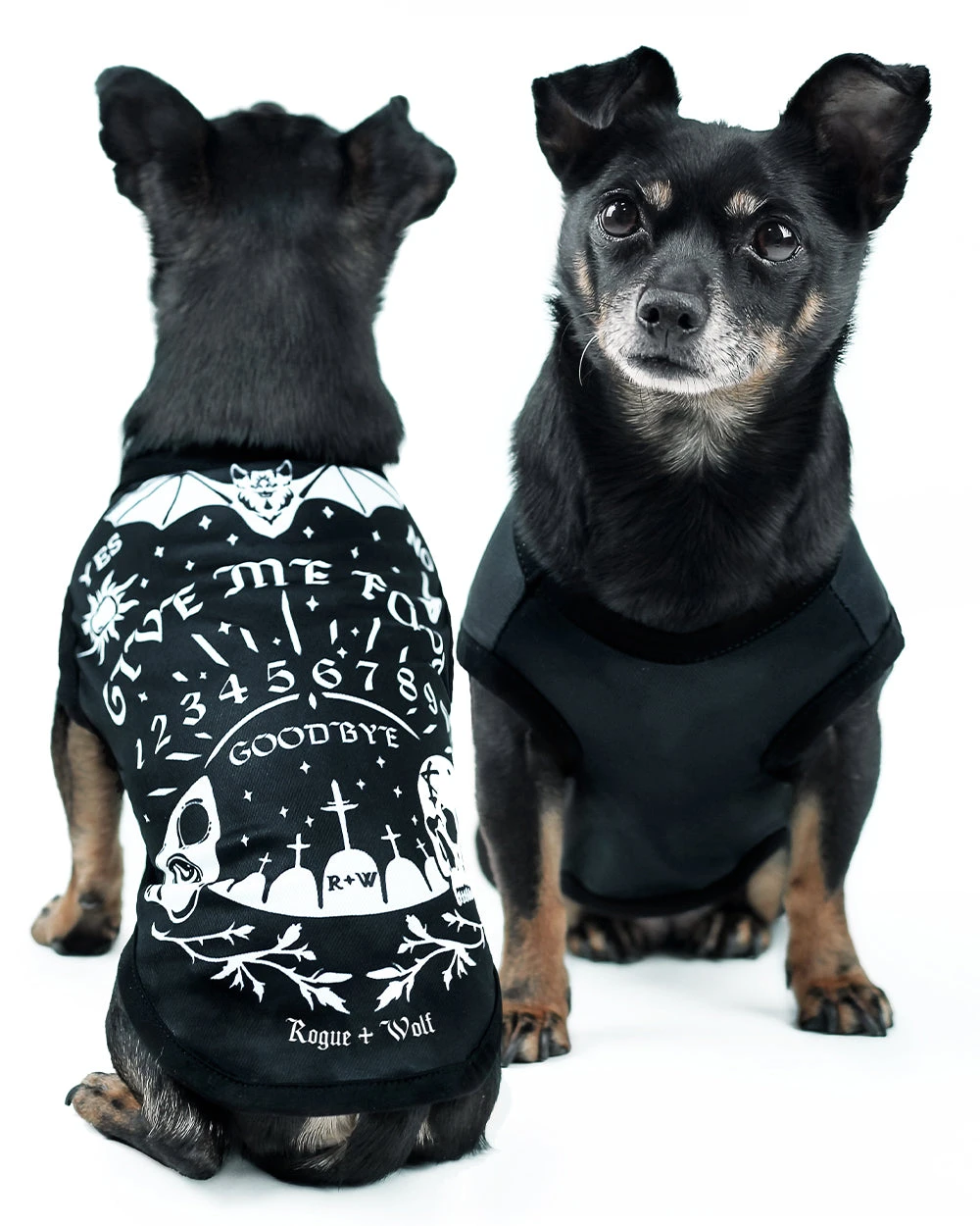 Give Me Food Ouija Pet Vest - Dog Or Cat 10 Give Me Food Ouija Pet Vest - Dog Or Cat - Image 8