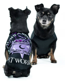 Witch's Assistant At Work Pet Vest - Dog Or Cat 18 Witch's Assistant At Work Pet Vest - Dog Or Cat -Rogue & Wolf Shop PetFashion2021 Combos 4by5 08