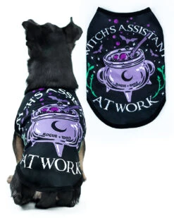 Witch's Assistant At Work Pet Vest - Dog Or Cat 21 Witch's Assistant At Work Pet Vest - Dog Or Cat -Rogue & Wolf Shop PetFashion2021 Combos 4by5 08b