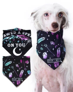 I Pawed A Spell On You Pet Bandana - Dog Or Cat -Rogue & Wolf Shop PetsObsidian2021 Composites DogsItems 4x5 01