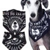 Give Me Treatos Ouija Pet Bandana - Dog Or Cat -Rogue & Wolf Shop PetsObsidian2021 Composites DogsItems 4x5 03