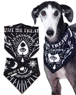Give Me Treatos Ouija Pet Bandana - Dog Or Cat
