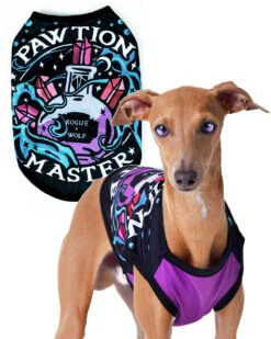 Pawtion Master Pet Vest - Dog Or Cat -Rogue & Wolf Shop PetsObsidian2021 Composites DogsItems 4x5 07