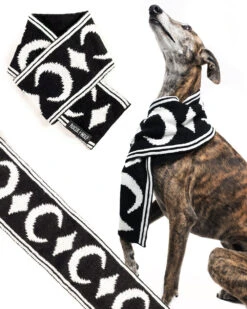 Moon Pupper Scarf - Dog Or Cat 38 Moon Pupper Scarf - Dog Or Cat -Rogue & Wolf Shop PetsObsidian2021 Composites DogsItems 4x5 11