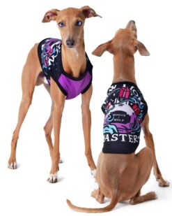 Pawtion Master Pet Vest - Dog Or Cat