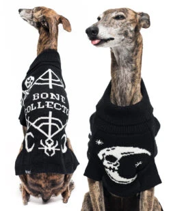 Bone Collector Knitted Pet Sweater - Dog Or Cat -Rogue & Wolf Shop PetsObsidian2021 Composites DogsOnly 4x5 12