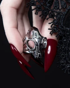 Cat Skull Ring In Mirror Steel -Rogue & Wolf Shop TLI 0798d 1