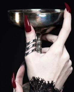 Chase Ring In Mirror Steel -Rogue & Wolf Shop TLI 0854c11