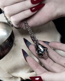 Cat Skull Necklace In Mirror Steel -Rogue & Wolf Shop TLI 0997d