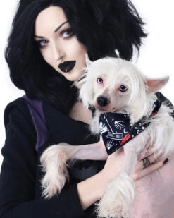 You Can't Dig With Us Pet Bandana - Dog Or Cat -Rogue & Wolf Shop TLI 1165a